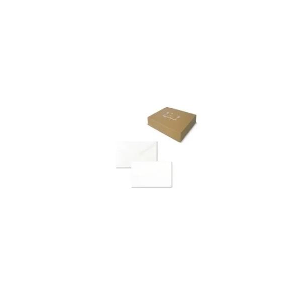 CF 100BIGL +100BUSTE BRISTOL 7X11CM