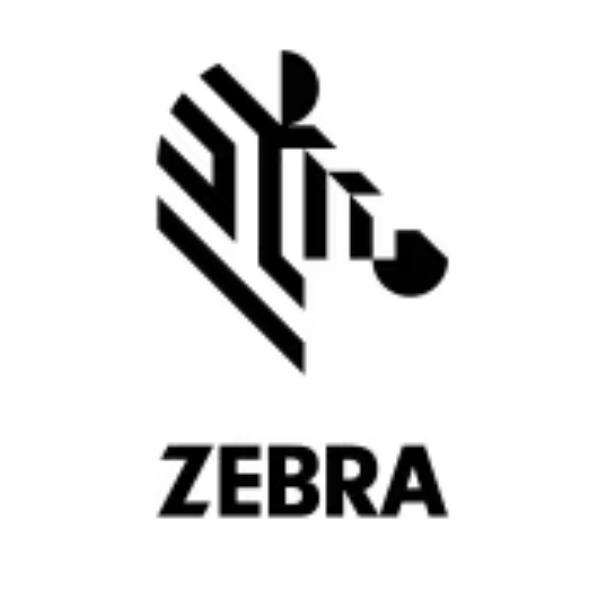 GDS RAM INTELLISKIN ZEBRA ET40/45