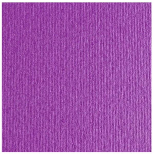 CF10 LR VIOLA-70X100