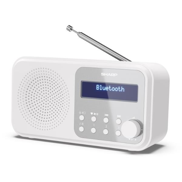 RADIO PORTATILE DIGITALE TOKIO BIAN