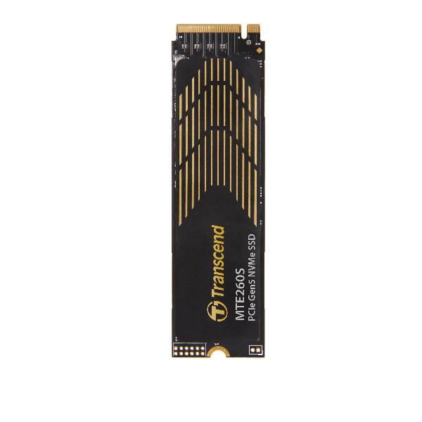 2TB M.2 2280 PCIE GEN5X4 NVME + HS