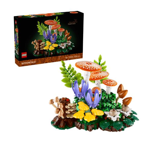 FUNGHI DEL BOSCO