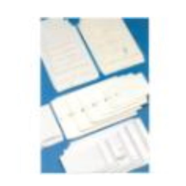 CF 500 BUSTE SACCO 21X28 GR80