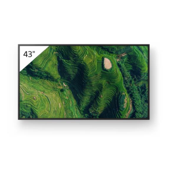43  PRO BRAVIA 500NIT DBNG 24/7