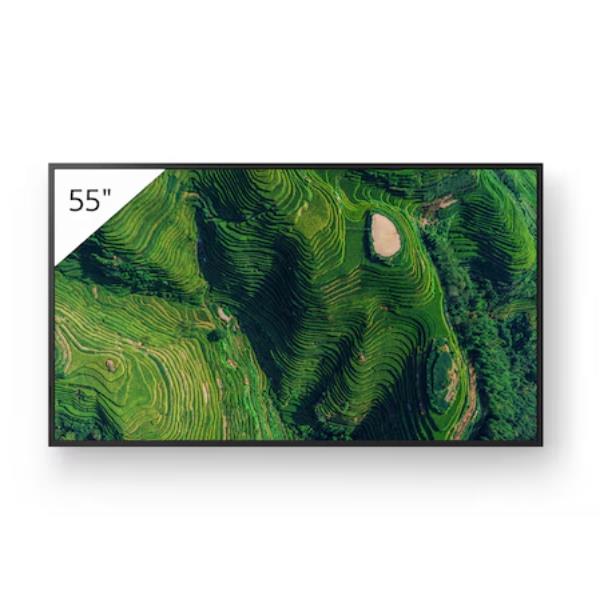 55  PRO BRAVIA 500NIT DBNG 24/7