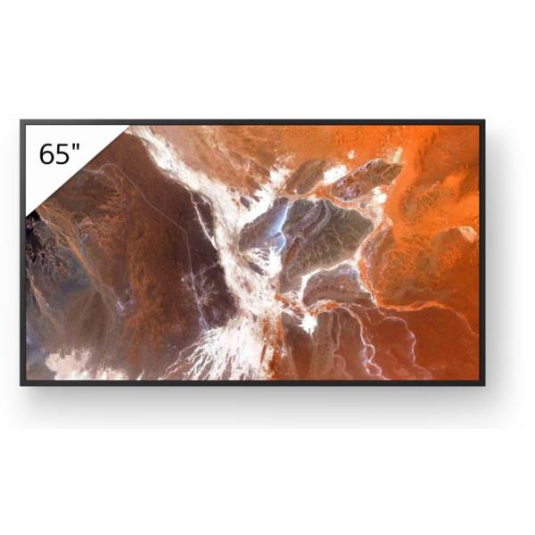 65  PRO BRAVIA 400NIT DBNG 24/7