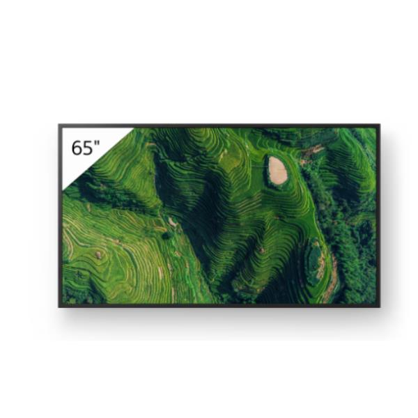 65  PRO BRAVIA 500NIT DBNG 24/7
