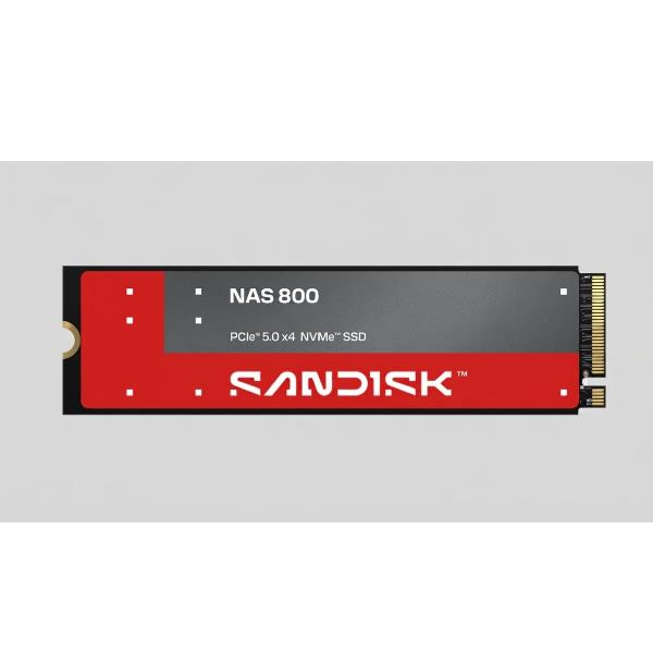 SANDISK NAS 800 1.92TB NVME  SSD