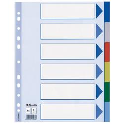 CF20 INTERCALARE PPL 6 T.COLORS A4