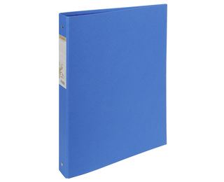 RACCOGLITORI FOREVER BLU