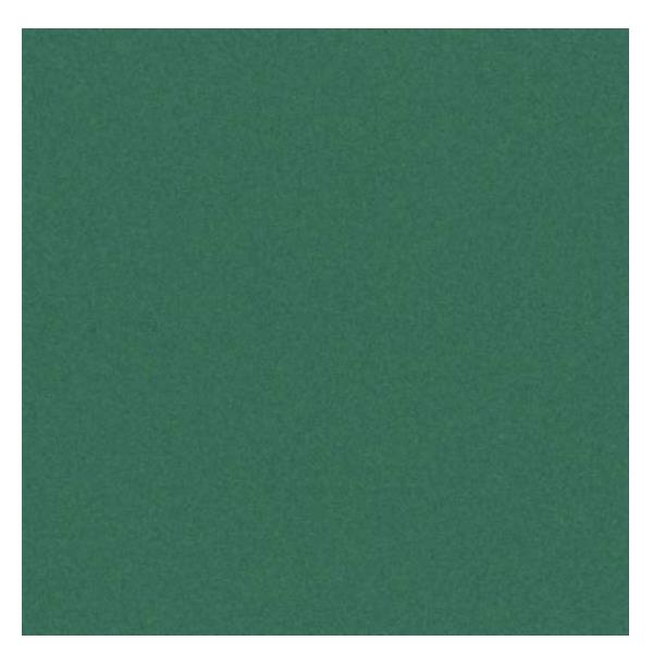 CF25FF COLORLINE 70X100 VERDE VI