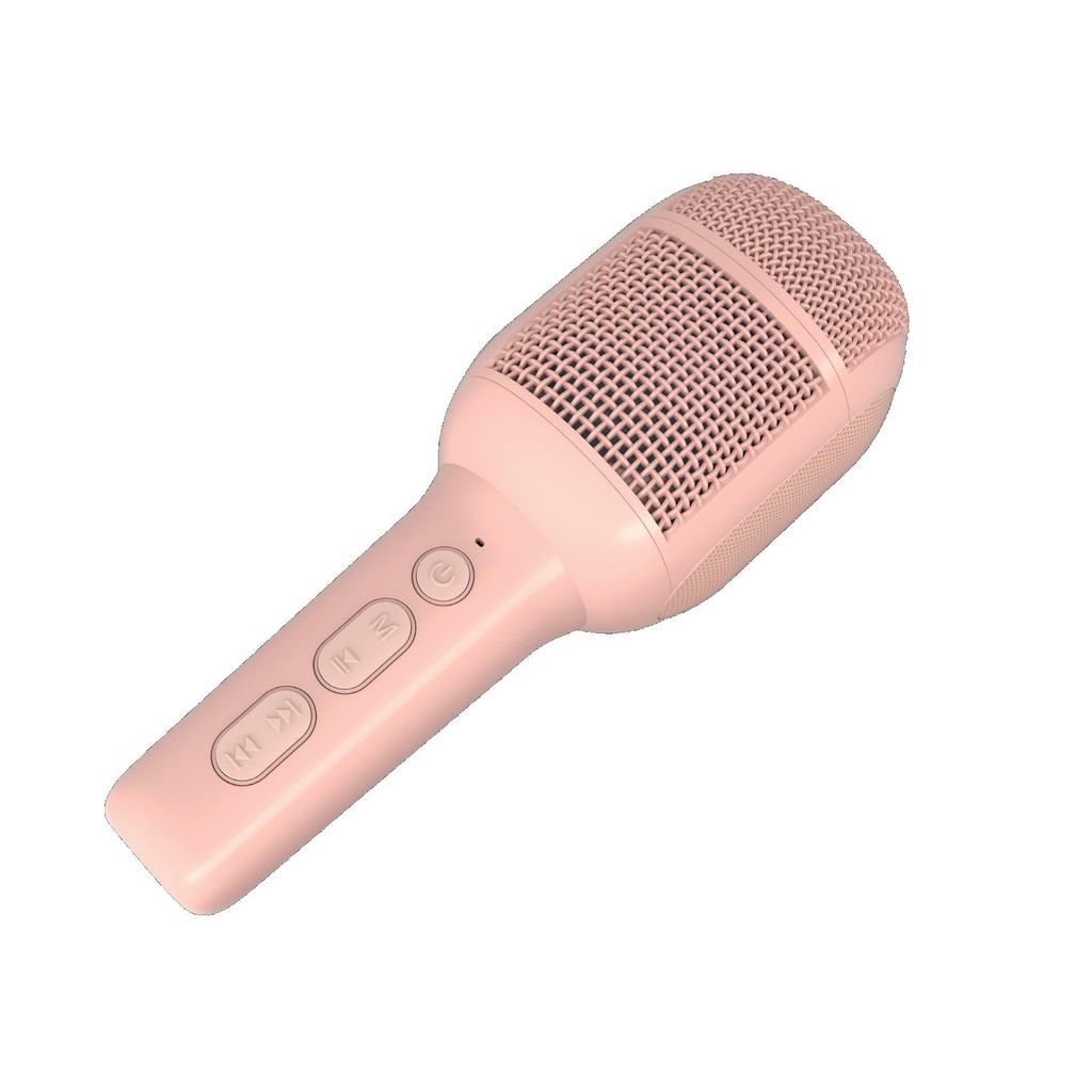 MICR WITH VOICE CONTROL 2PK