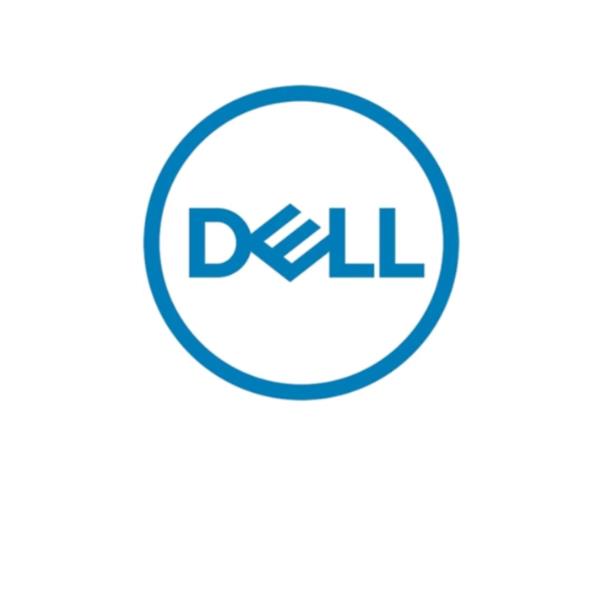DELL 480GB SSD M.2 SATA 6GBPS 51