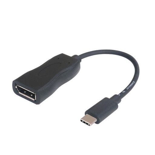 [C31DP60HZP] USB-C DP ADAPTER 4K/60 HZ