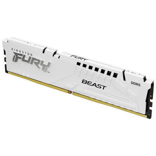 [KF560C30BWE-32] 32G 6000 DDR5 FURY BEAST WHITE EXPO