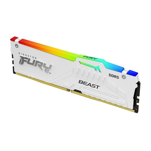 [KF560C36BWE2A16] 16 6000 DDR5 F BEAST WHITE RGB EXPO