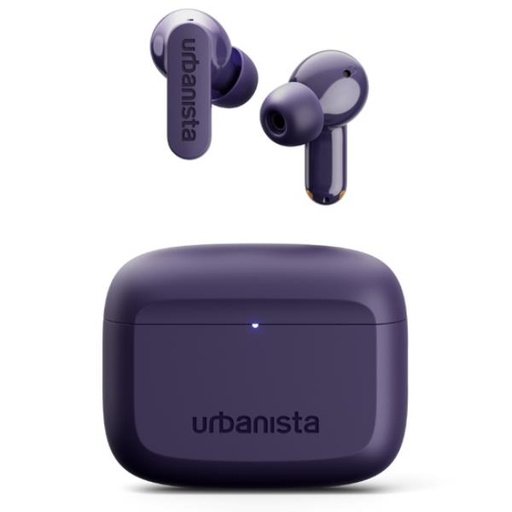 [1037642] PALO ALTO - DUSK PURPLE