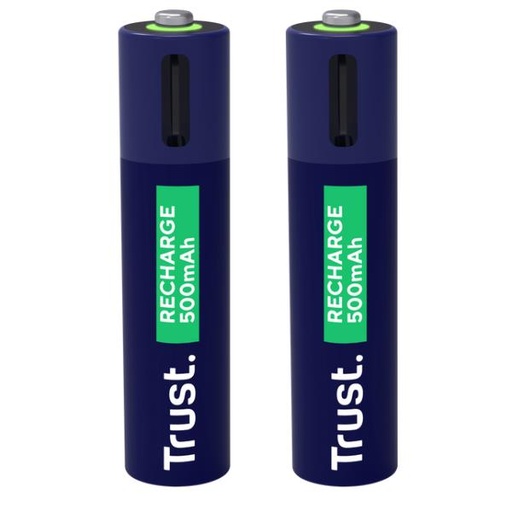 [25585] USB-C RECHARGEABLE BATTERIES 2P - A