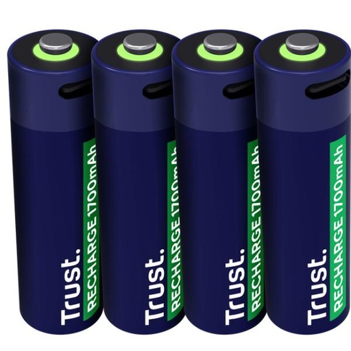 [25631] USB-C RECHARGEABLE BATTERIES 4P - A