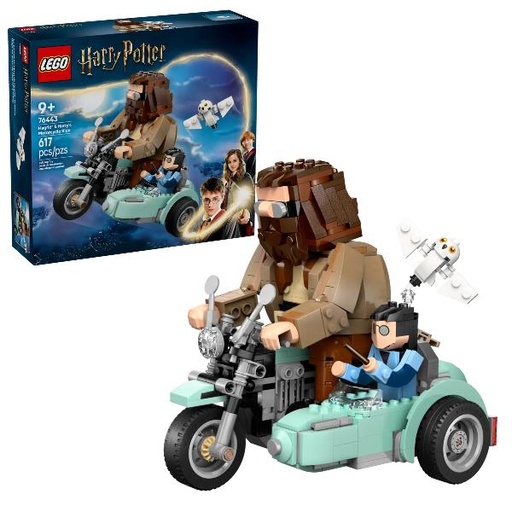 [76443] GIRO SUL SIDECAR DI HAGRID  E HARRY
