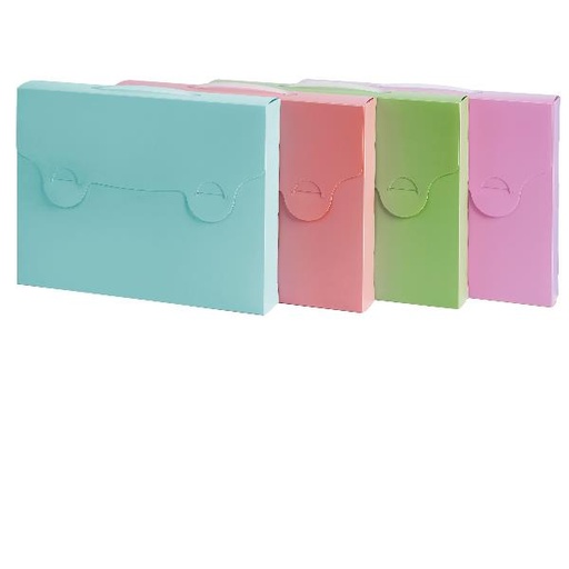 [400184166] VALIGETTA PASTELLO 38X29 D5 PP ASS