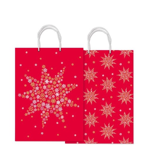 [SDN30410F] CF 10 SHOPPER 410F  40 CX 30 CM