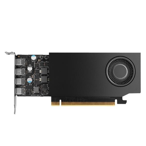 [AV8J4AA] HP NVIDIA RTX A1000 8 GB 4MDP +BRA