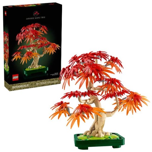 [10348] BONSAI DI ACERO ROSSO GIAPPONESE