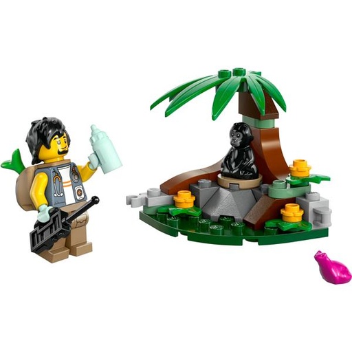 [30665] L INCONTRO CON CUCCIOLO DI GORILLA