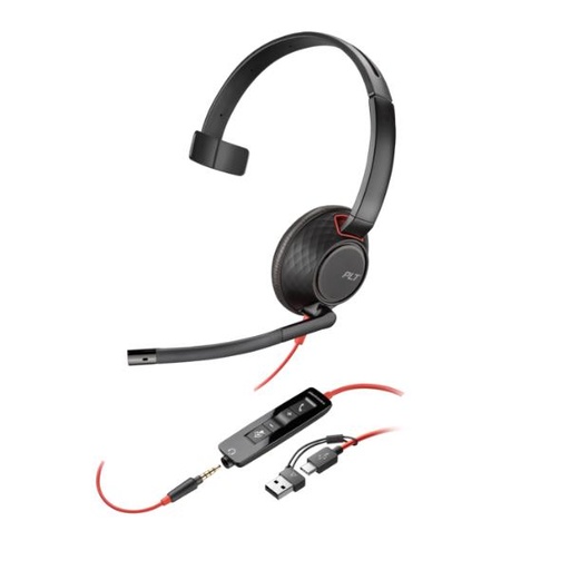 [8X230A6] POLY BW 5210 USB-C HS +USB-C/A (