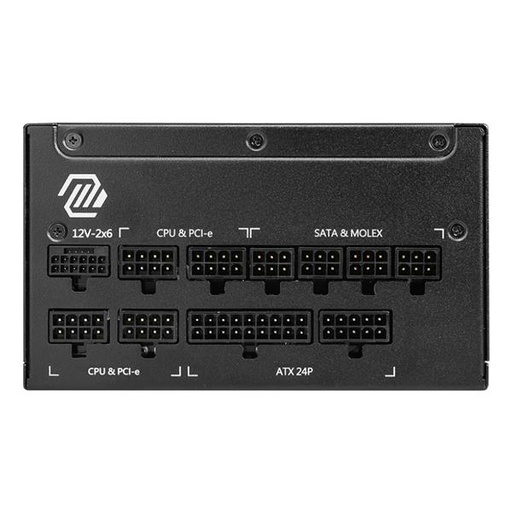 [MAGA1000GLPCIE5] MAG A1000GL PCIE5