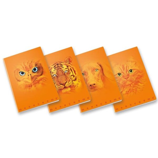 [02333685M] CF10 ORANGE A4 100GR R.5M FF38