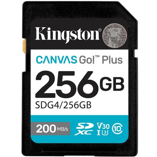 [SDG4/256GB] 256GB SDXC CANVAS GO PLUS GEN4