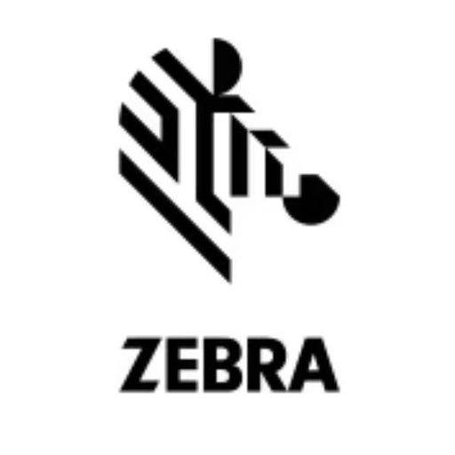 [3PTY-RAM-GDS-SK] GDS RAM INTELLISKIN ZEBRA ET40/45