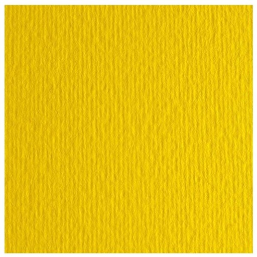 [46470125] CF10 LR CEDRO-70X100