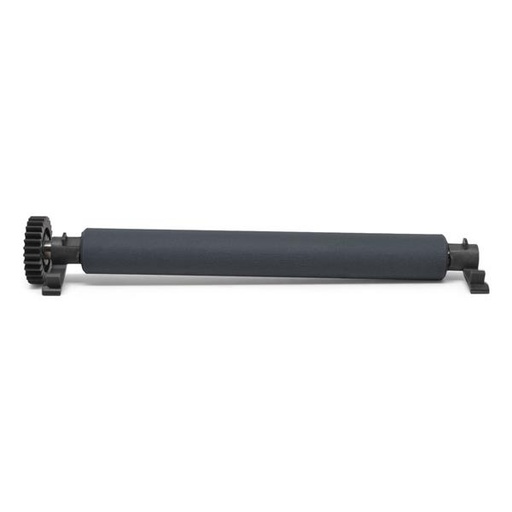 [P1112640-217] KIT,PLATEN ROLLER 300 DPI,ZT421T