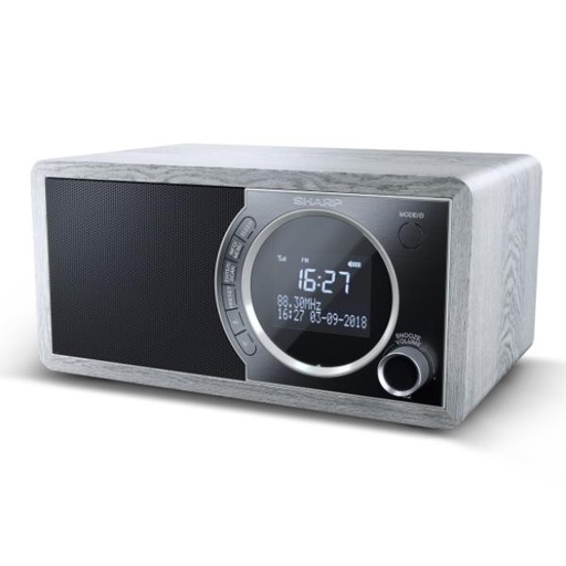 [DR-450GR] RADIO DIGITALE DR450 GREY