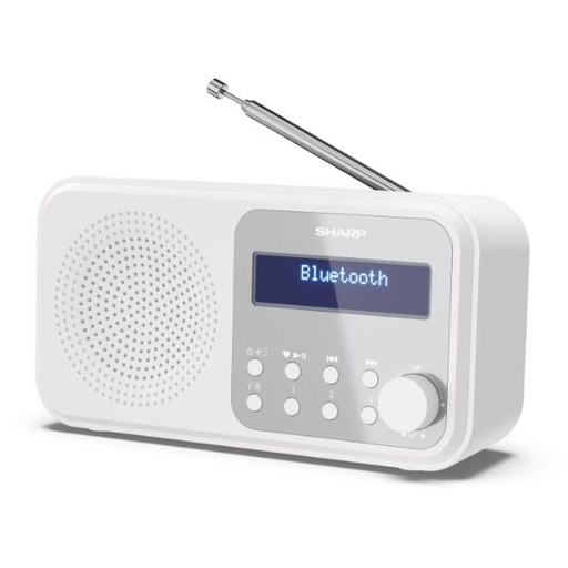 [DR-P420WH] RADIO PORTATILE DIGITALE TOKIO BIAN