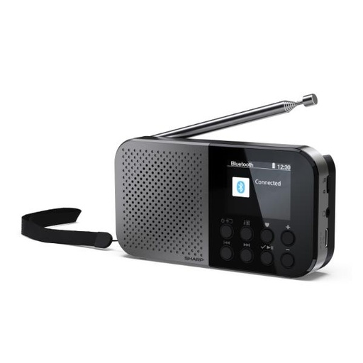 [DR-P520GY] RADIO DIGITALE OSAKA PORTATILE