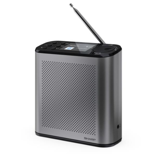 [DR-P530GY] RADIO DIGITALE OSAKA