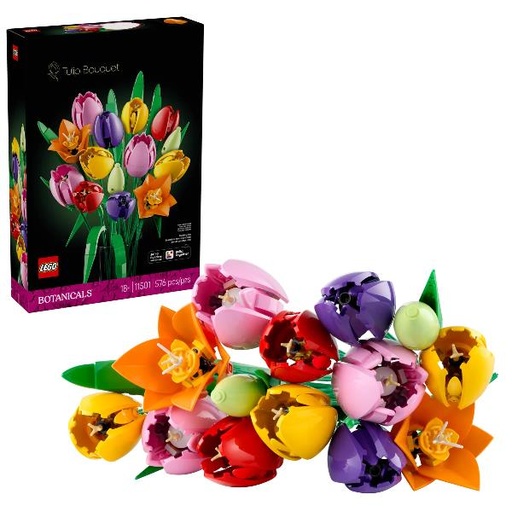 [11501A] BOUQUET DI TULIPANI