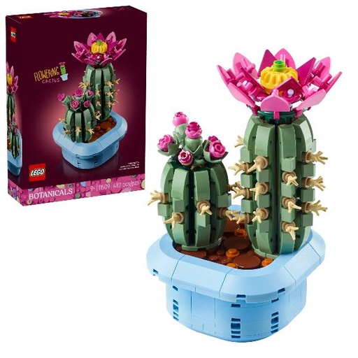 [11509A] CACTUS IN FIORE