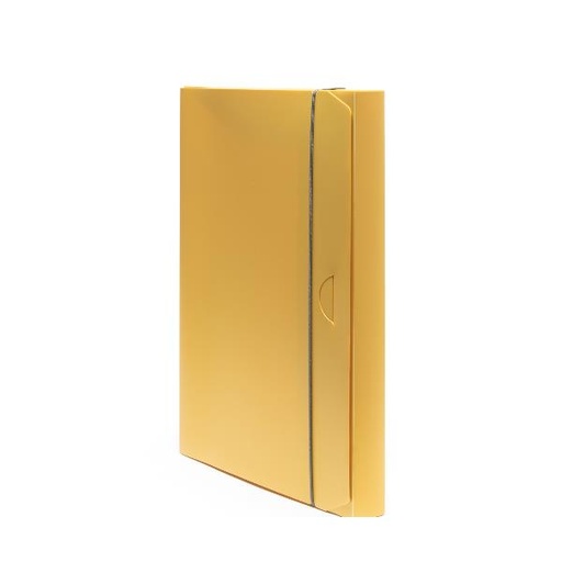 [100102107] CARTELLA PROGETTO HOLOS 3 GIALLO