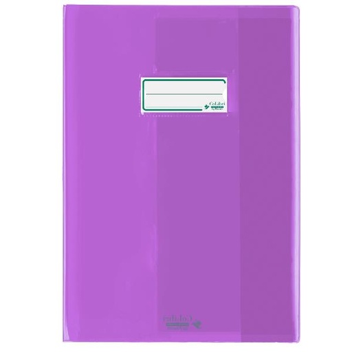 [400183544] CF24 COLIBRI C.MAXI LISCIO VIOLA