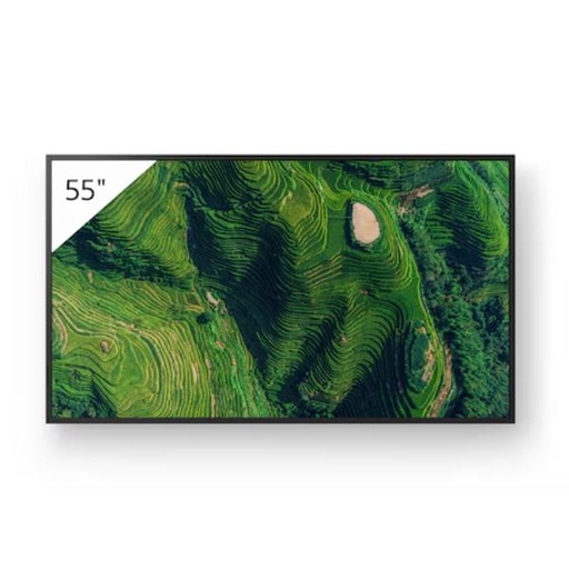 [FW-55BZ35P] 55  PRO BRAVIA 500NIT DBNG 24/7