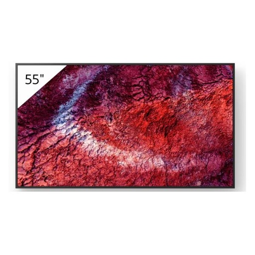[FW-55BZ40P] 55  PRO BRAVIA 700NIT DBNG 24/7