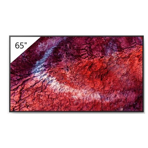 [FW-65BZ40P] 65  PRO BRAVIA 700NIT DBNG 24/7