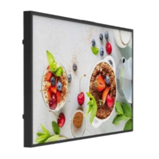 [LM55-V400] MONITOR 55 3000 NIT ALTA LUM INDOOR