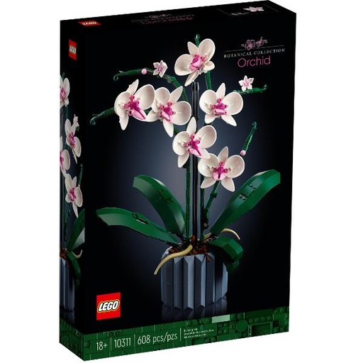 [10311A] ORCHIDEA