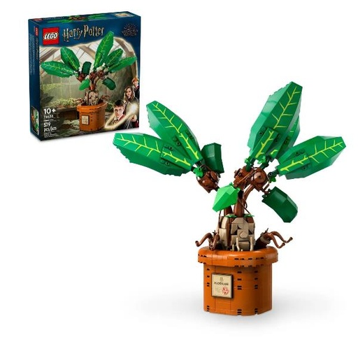 [76433] MANDRAGOLA